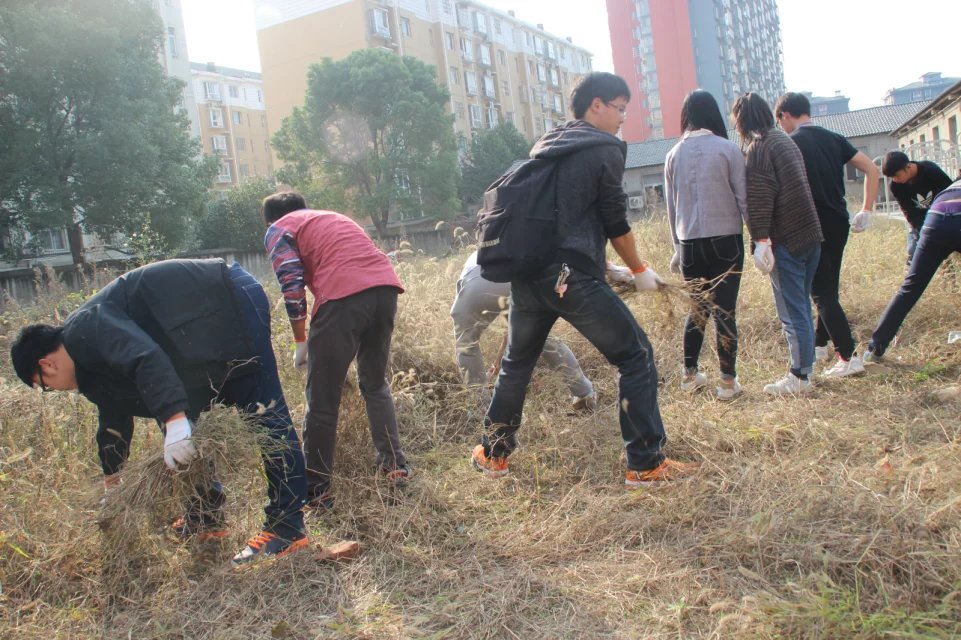 201611150915172230.JPG