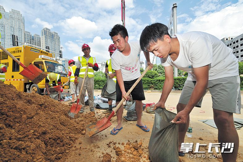 长沙晚报.png