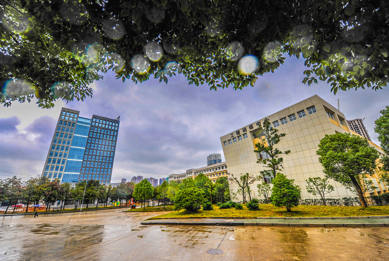 雨后武工院2_副本.jpg
