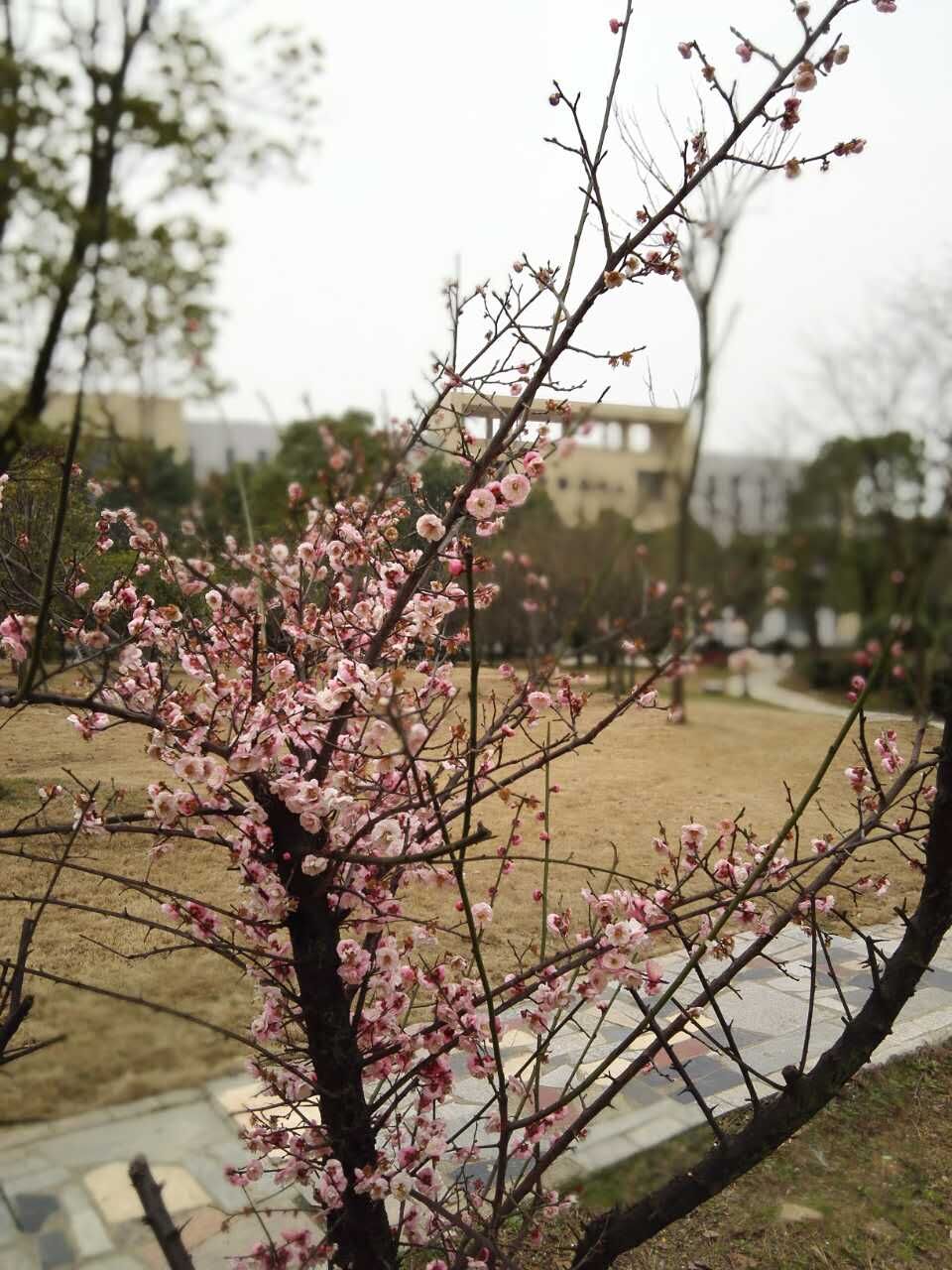 QQ图片20160223144157.jpg