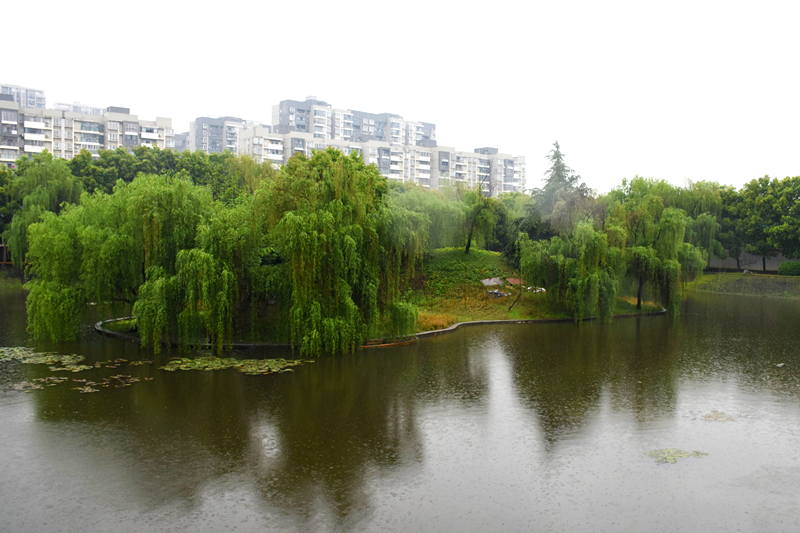 DSC_2618.JPG