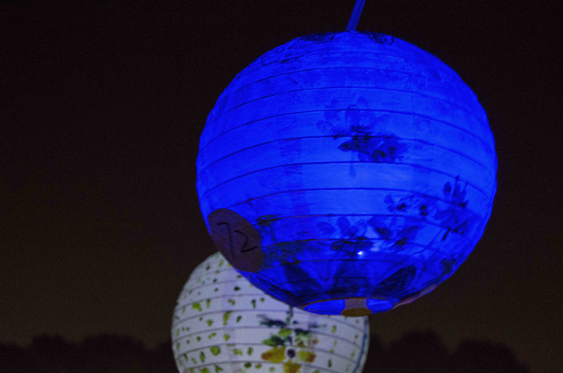 20161207花灯会 摄像记者苏振坤 朱裕 胡月 图编邬贝 邓雨晗 (3).jpg