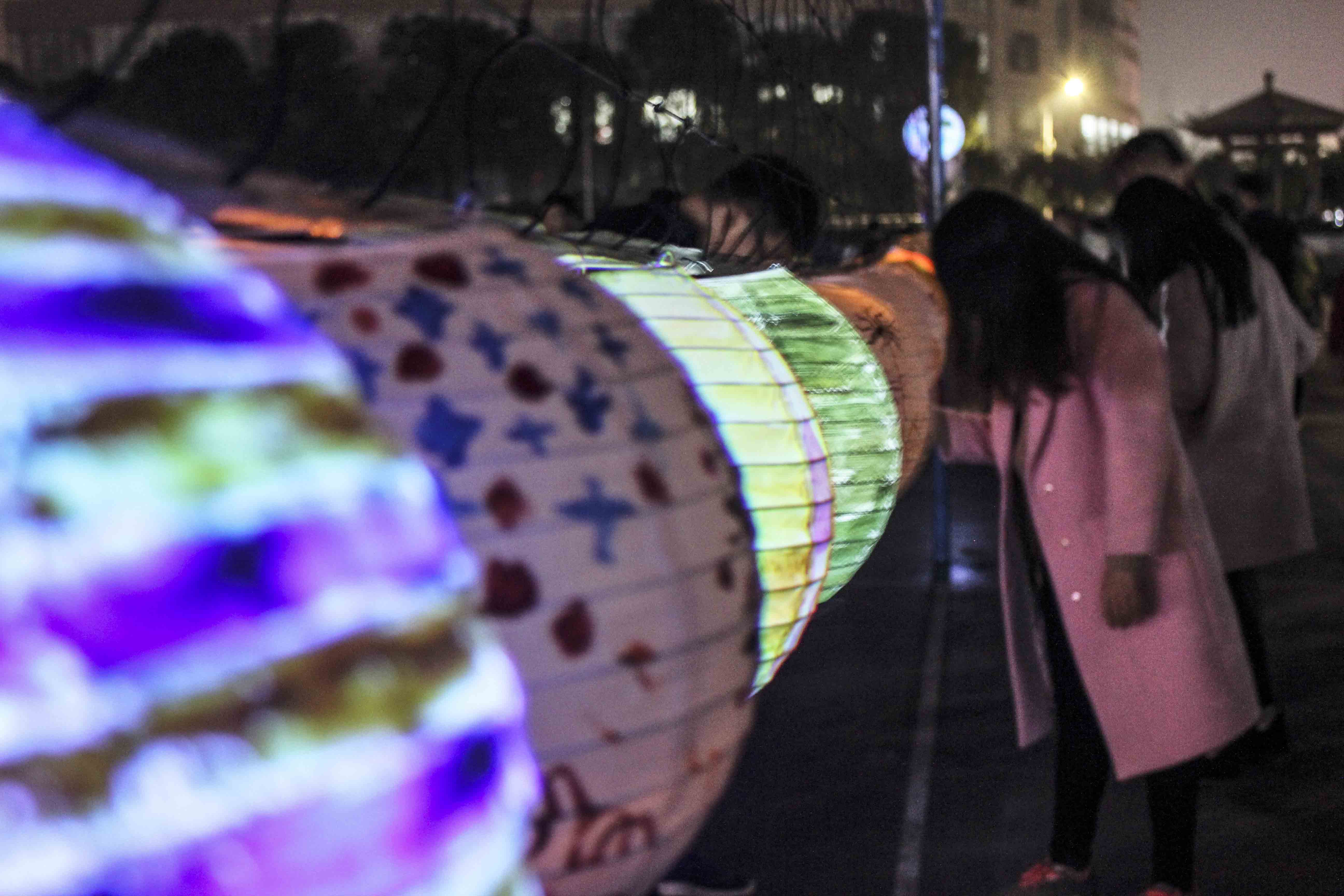 20161207花灯会 摄像记者苏振坤 朱裕 胡月 图编邬贝 邓雨晗 (2).jpg