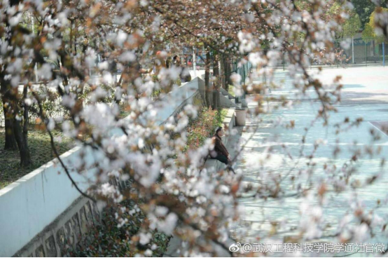 【组图】细雨春风中 送你三寸武工院的晴朗