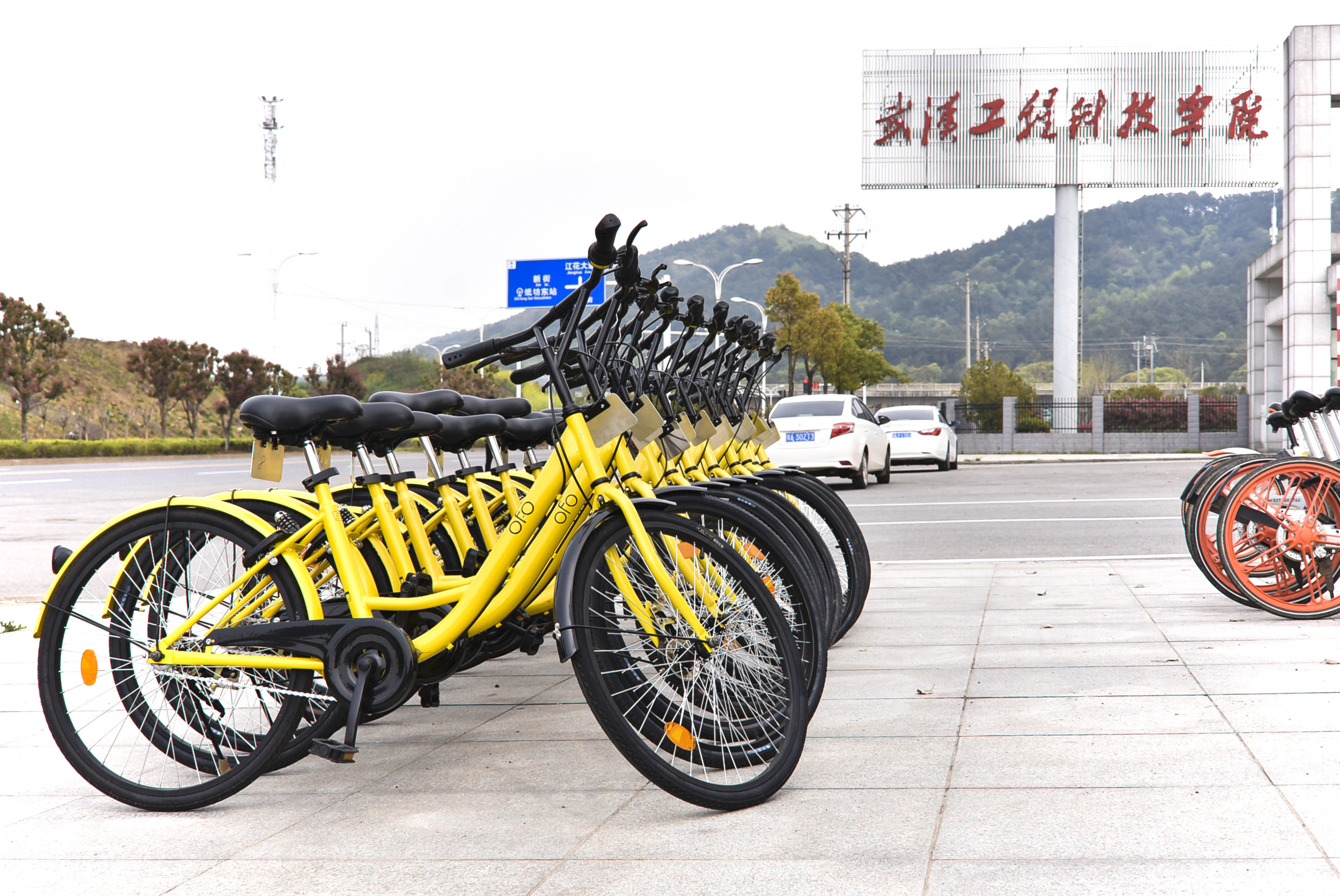 20170331共享单车处理办法  摄影记者安帅  采访记者闫双 (2).jpg