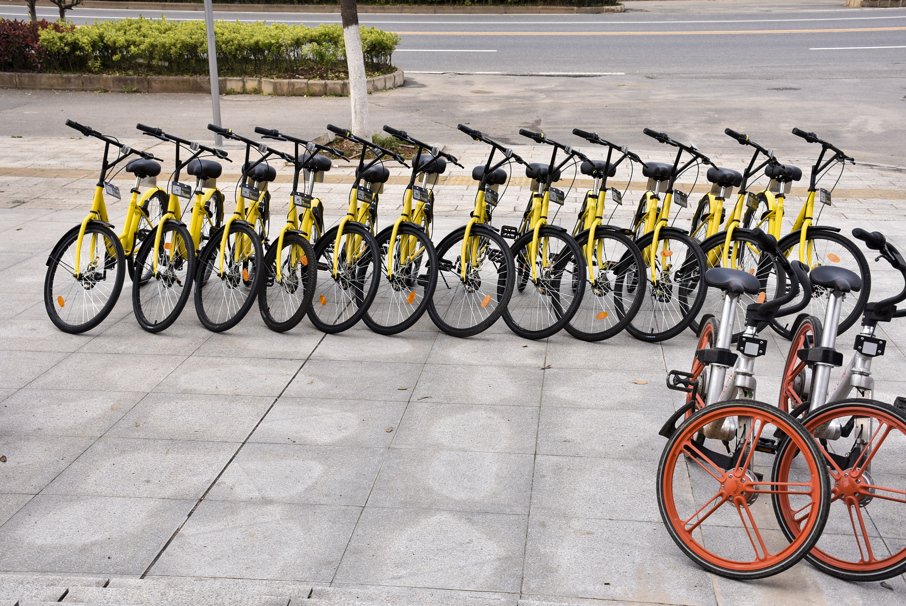 20170331共享单车处理办法  摄影记者安帅  采访记者闫双 (1).jpg