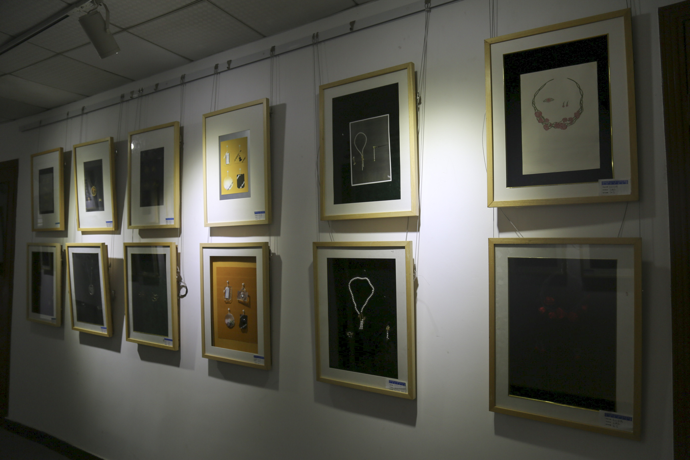 陈政燃摄 (3).JPG