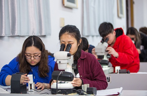 珠宝实验室-籍鹏飞 (3).jpg