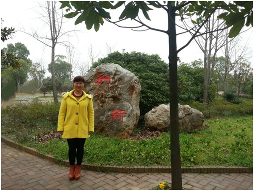 【2015年度先进个人】——陆莉