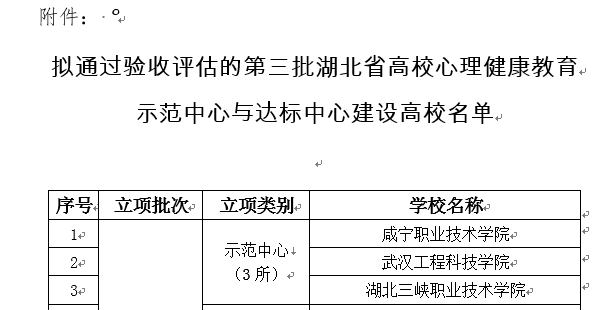 我校顺利通过第三批湖北省高校心理健康教育示范中心验收
