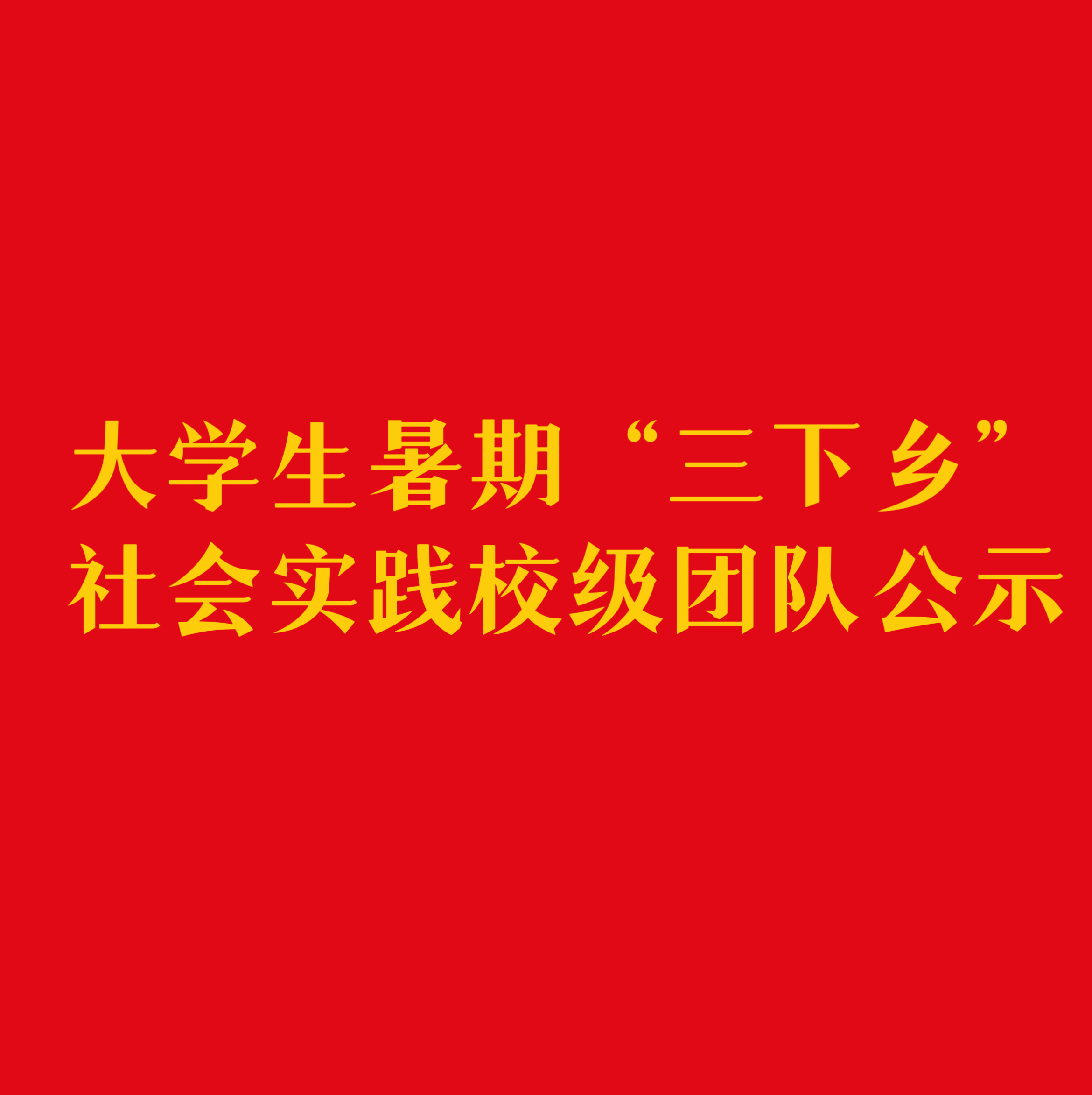 大学生暑期“三下乡”社会实践校级团队公示