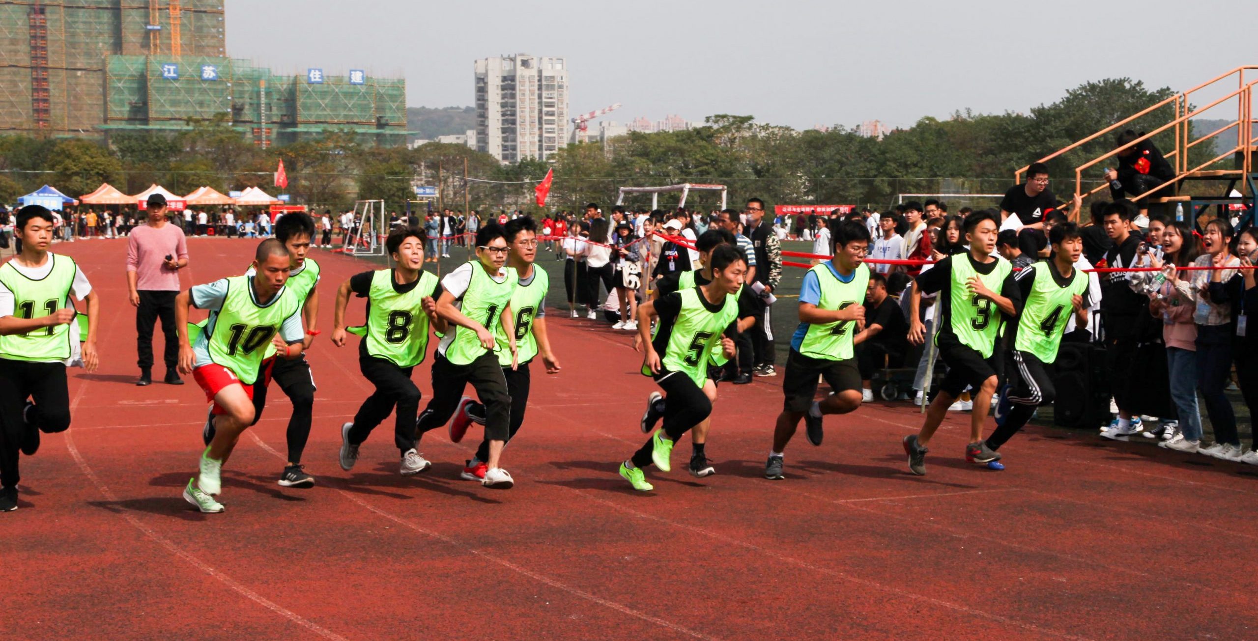 男子800米赛落幕 分组冠军个个是长跑健将