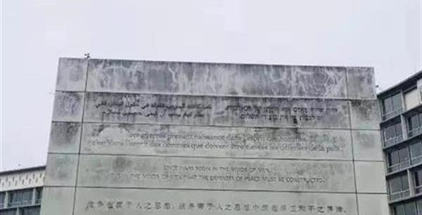 【长江云】湖北高校学子走进联合国教科文组织总部
