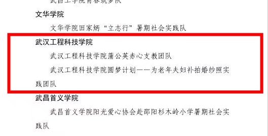 武工院2019年暑期“三下乡”社会实践团队受省级表彰