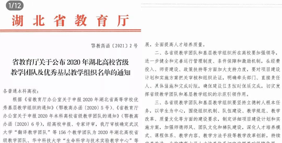 喜讯！武工院获评一个2020年湖北高校省级教学团队
