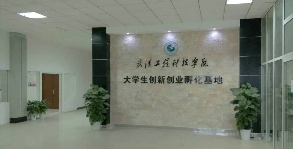 喜讯！武工院再次获评“湖北省大学生创业示范基地”