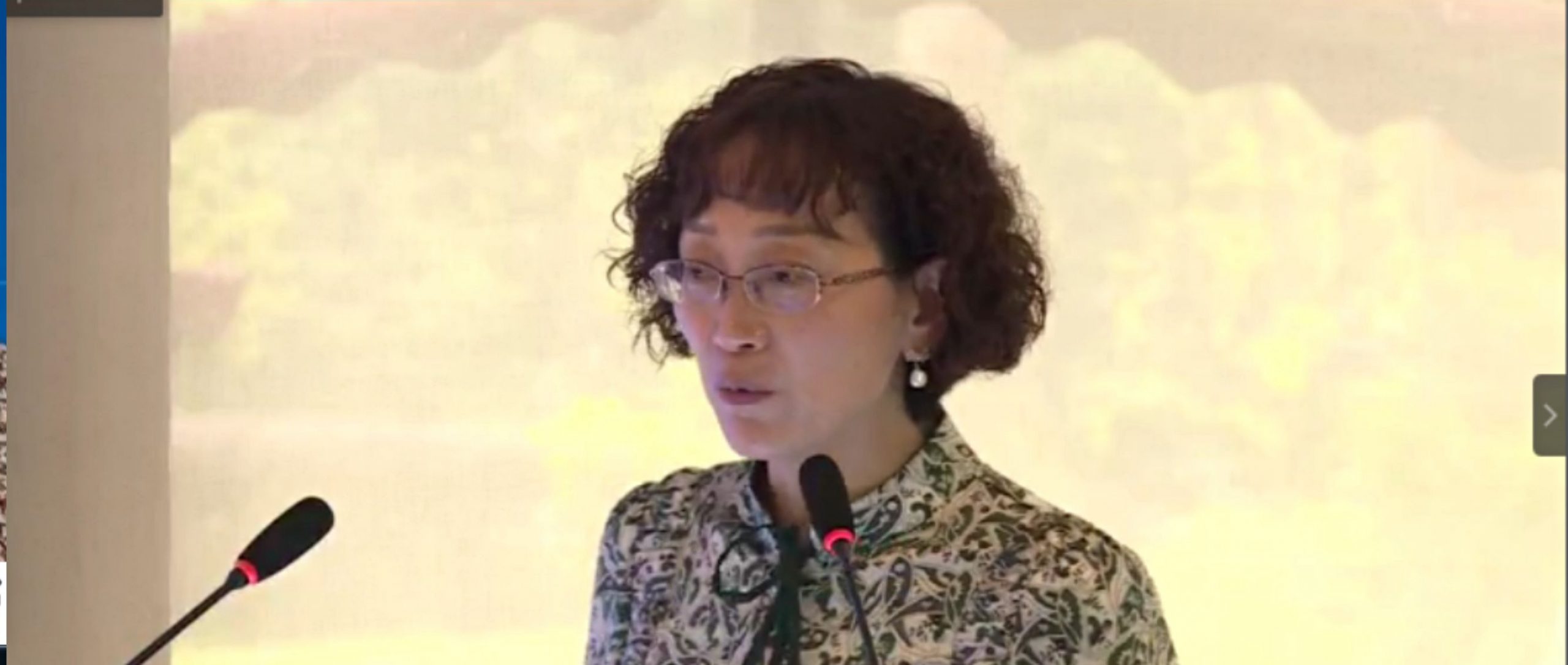 人文学院大英教研室组织教师在线参加 2021年十省、市、区大学英语教学研讨会