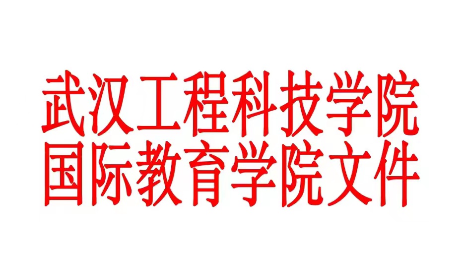 武汉工程科技学院关于国际教育学院第一届学生发展会干部任命的决定