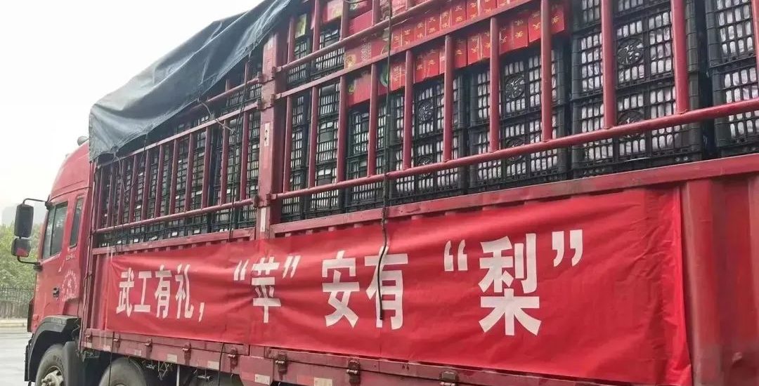 武工有礼，“苹”安有“梨”｜武工院冬日关怀系列活动圆满结束