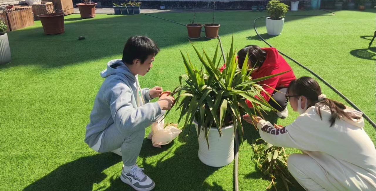 爱园护植，培训先行 | 武汉工程科技学院开展“五感花园”系列种植养护培训活动