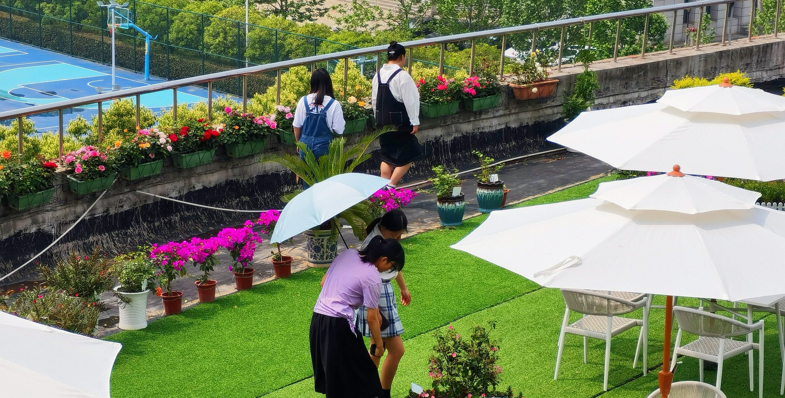 我校“五感花园”举行开放日活动