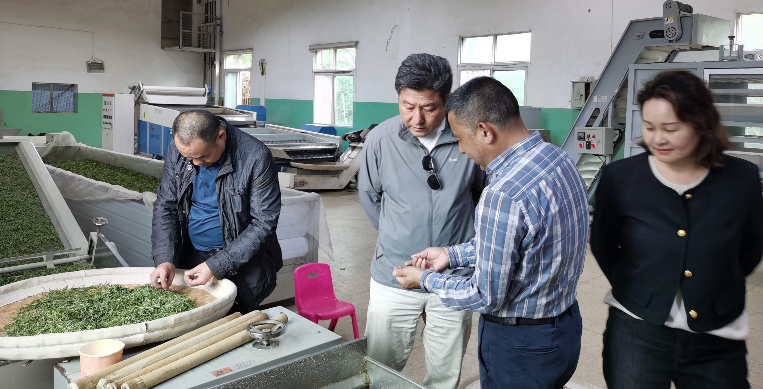 赴乌龙，访碧舫，校企双方畅谈振兴合作