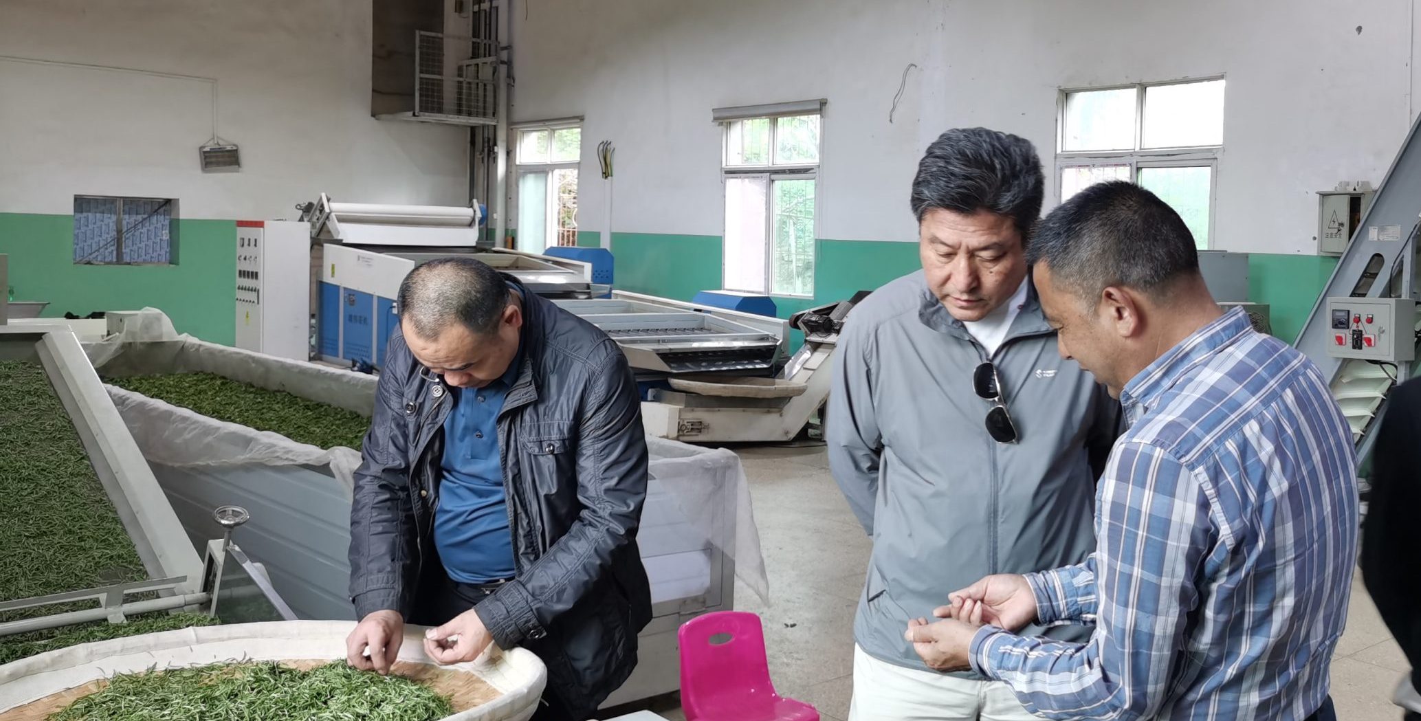 赴乌龙，访碧舫，校企双方畅谈振兴合作