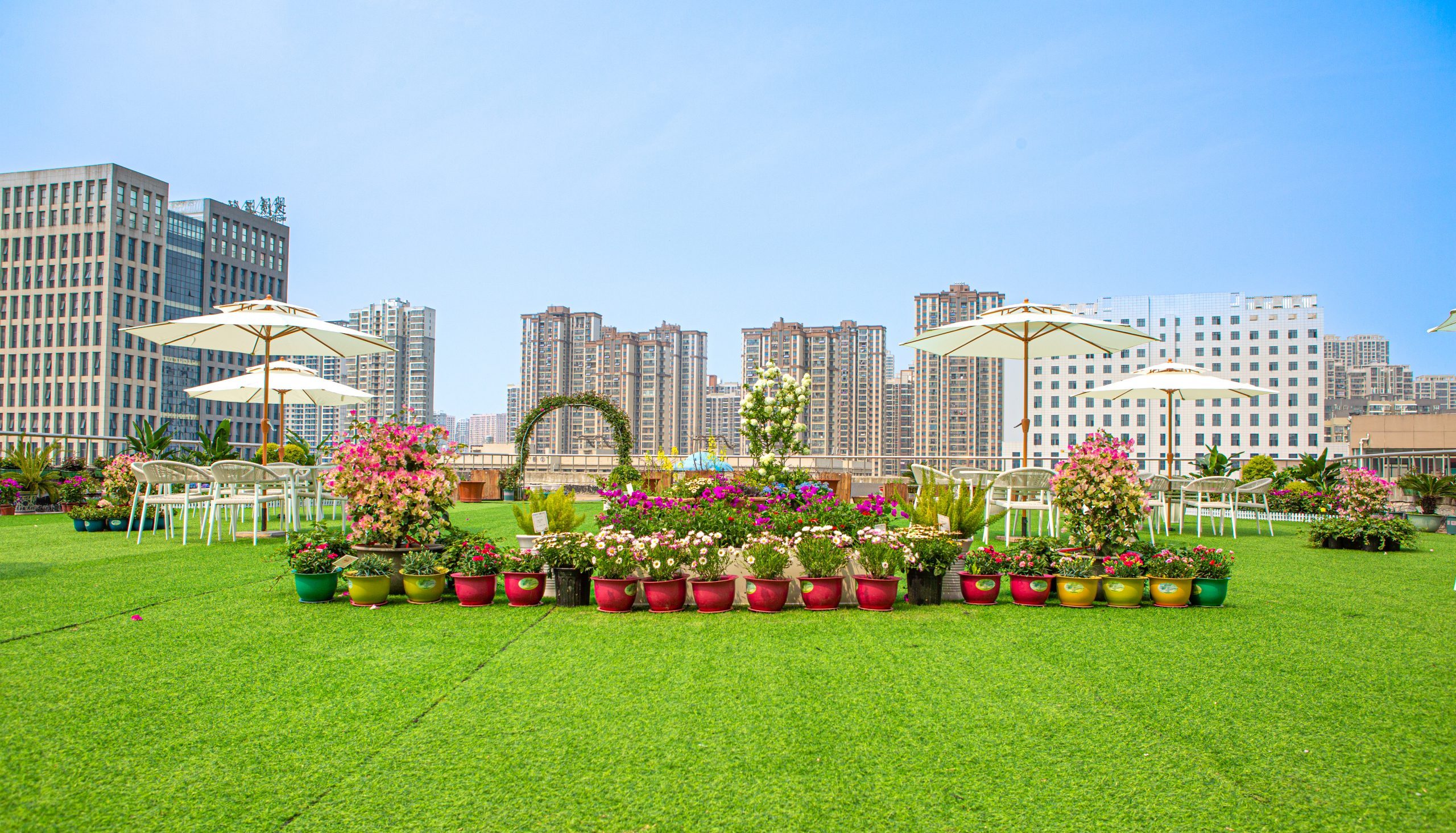 心新相遇，缘聚花园