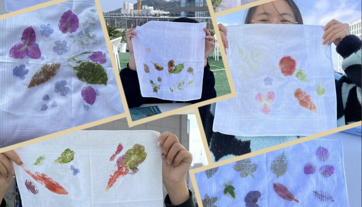 拓染：让我们一同体验美学与艺术的交融