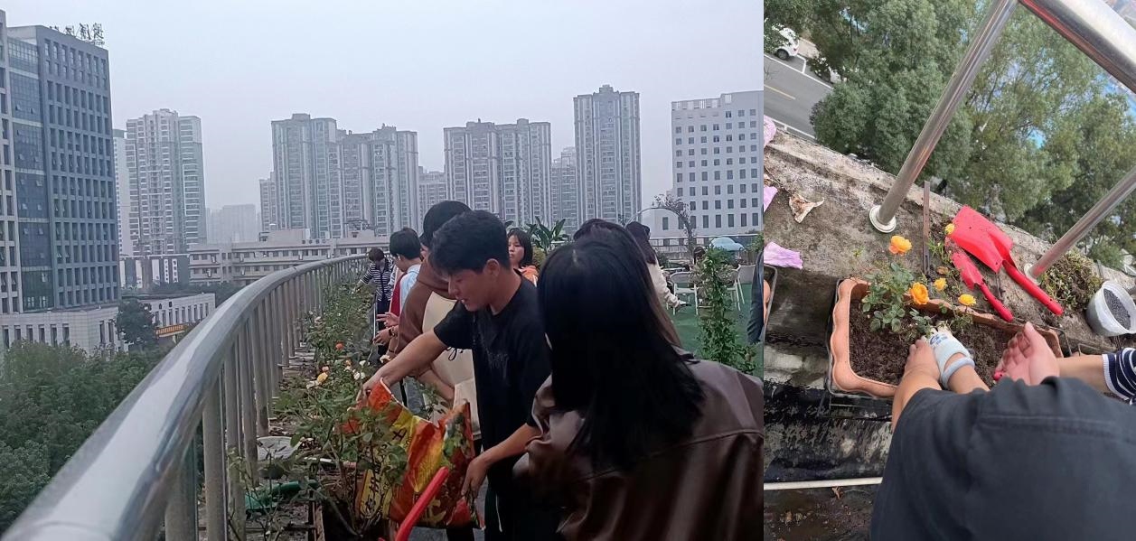 寄情于植株 以花润心田