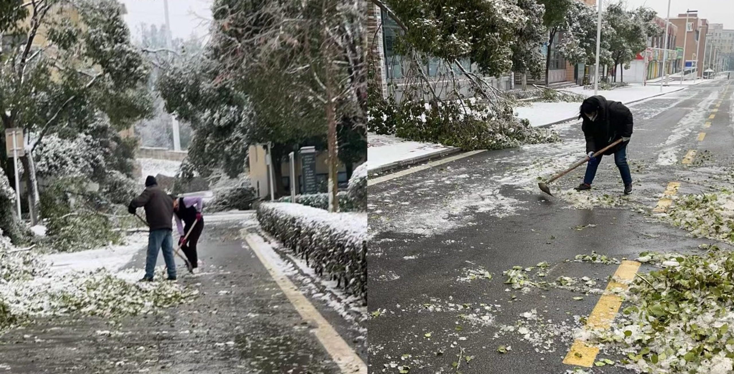 守护校园安全丨后勤保卫处持续做好应对雨雪天气服务保障工作（二）