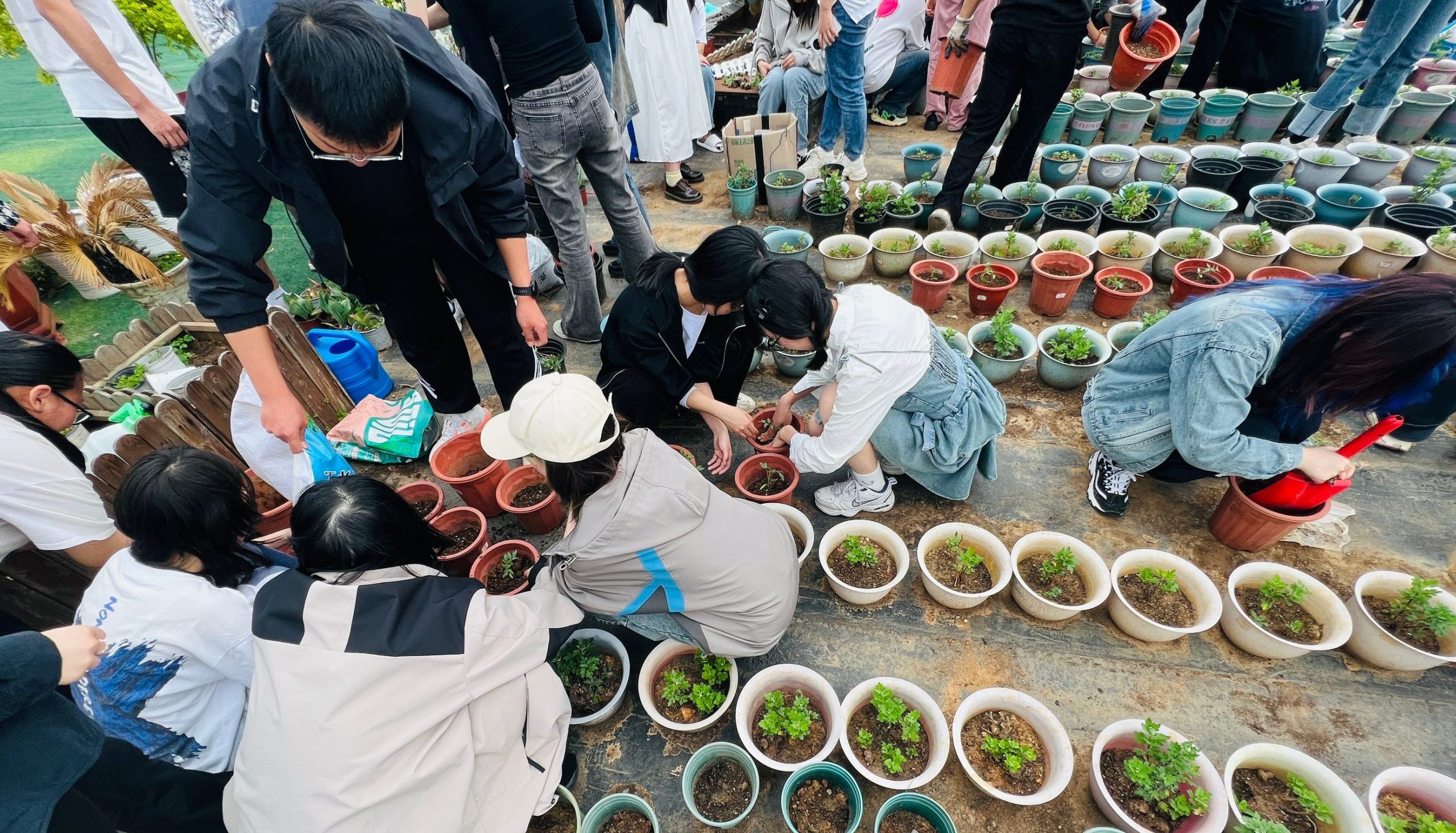 五感花园五期——春生万物，种下希望