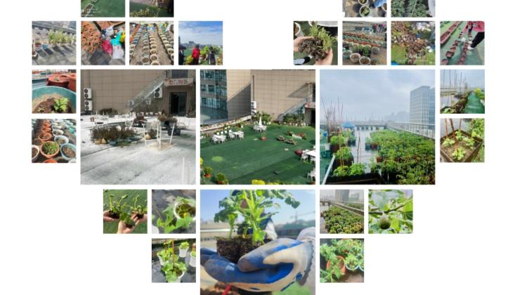 启动仪式/心灵剧大赛/团体辅导/五感花园，武工院第二十届心理健康活动月持续发力，期待你的参与！