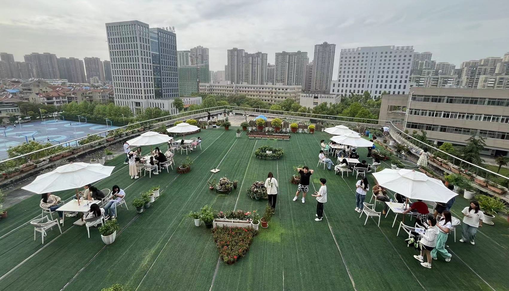 春光无限好，赏花正当时