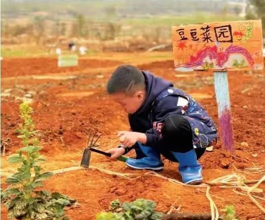 25岁大学毕业生留汉当上共享农场主——一手拿锄头，一手拿画笔