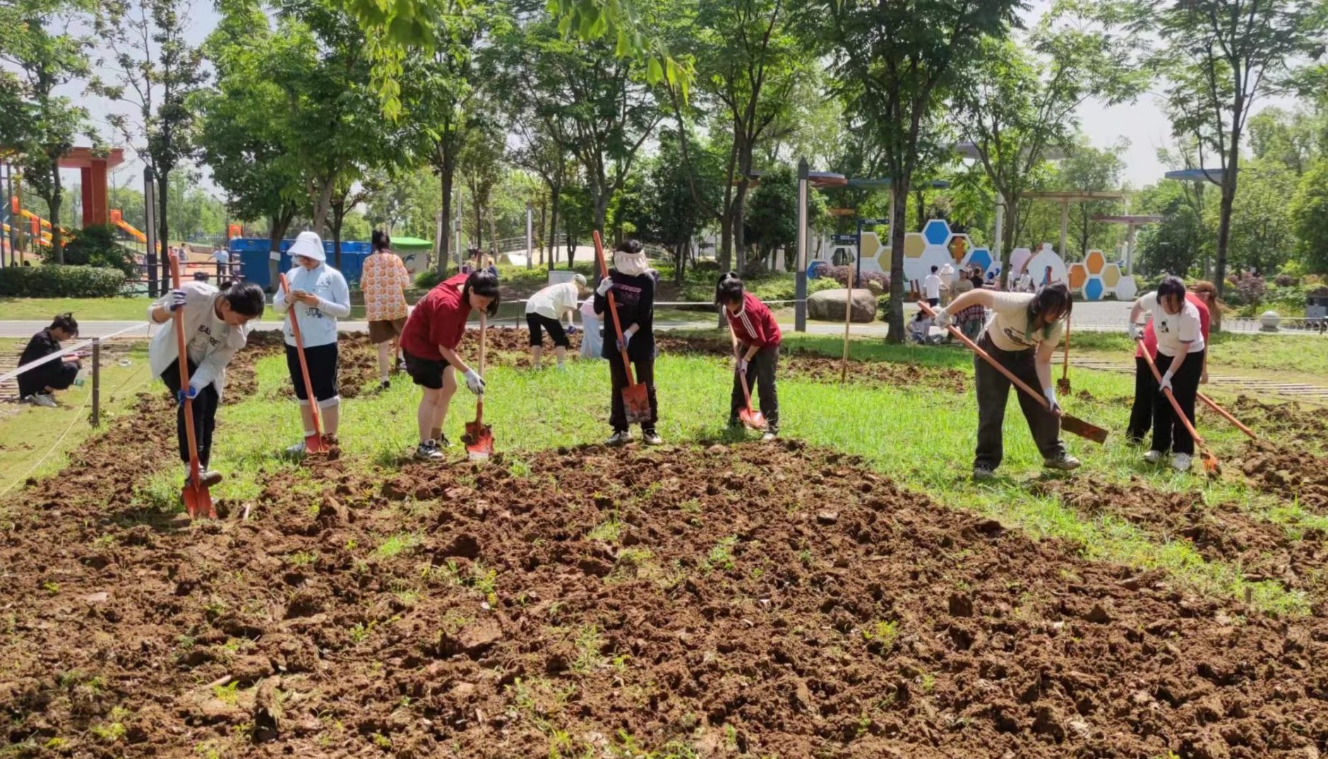 稀奇：江夏中央大公园来了一群挖土的大学生 ——记武汉工程科技学院“桐雨”种植园劳动育人活动