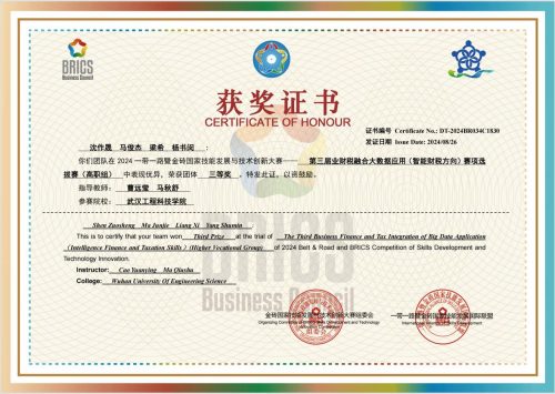喜讯！我院学子在2024一带一路暨金砖大赛高职组业财税融合大数据赛项选拔赛获奖